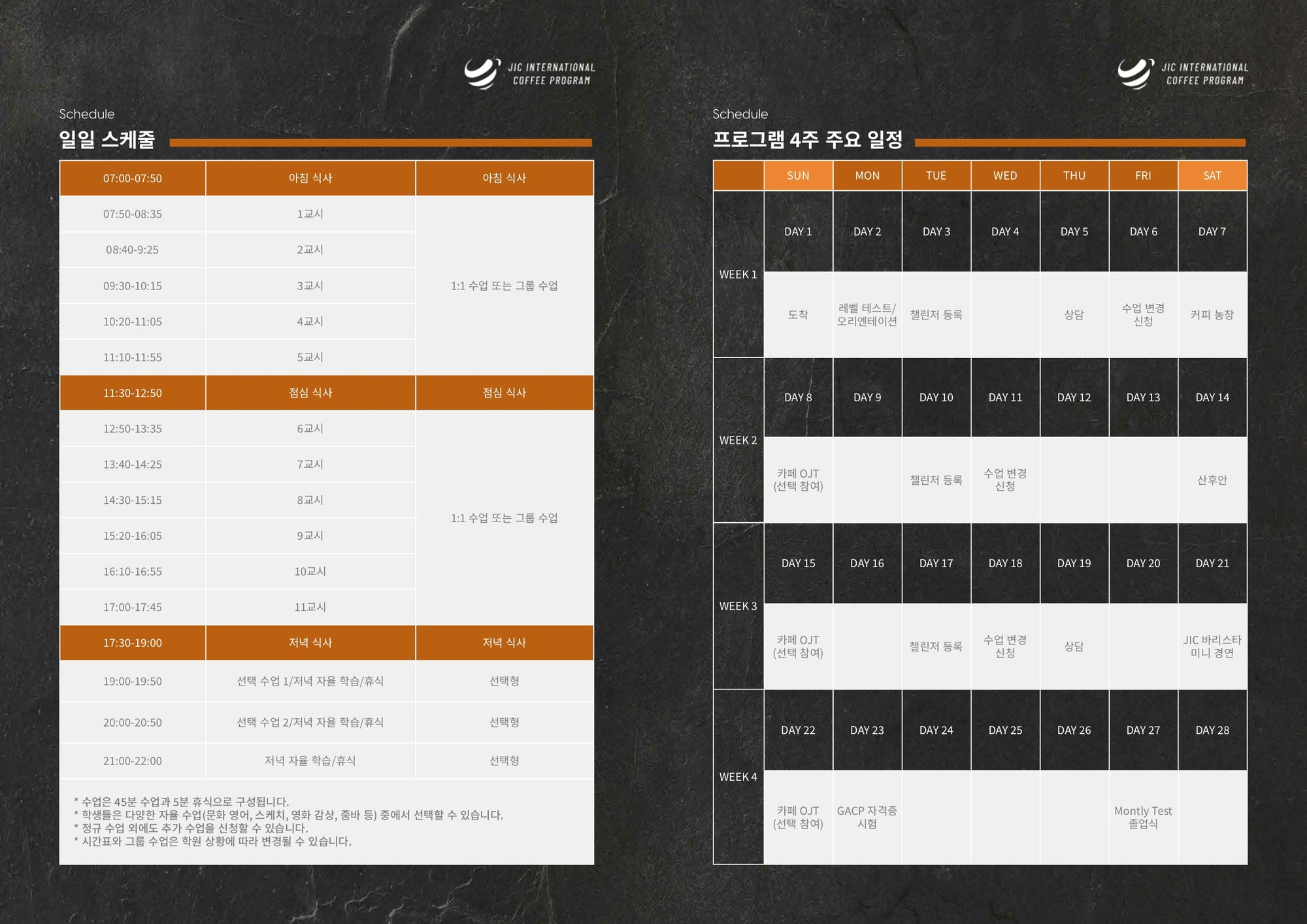 JIC 어학원 커피 캠프