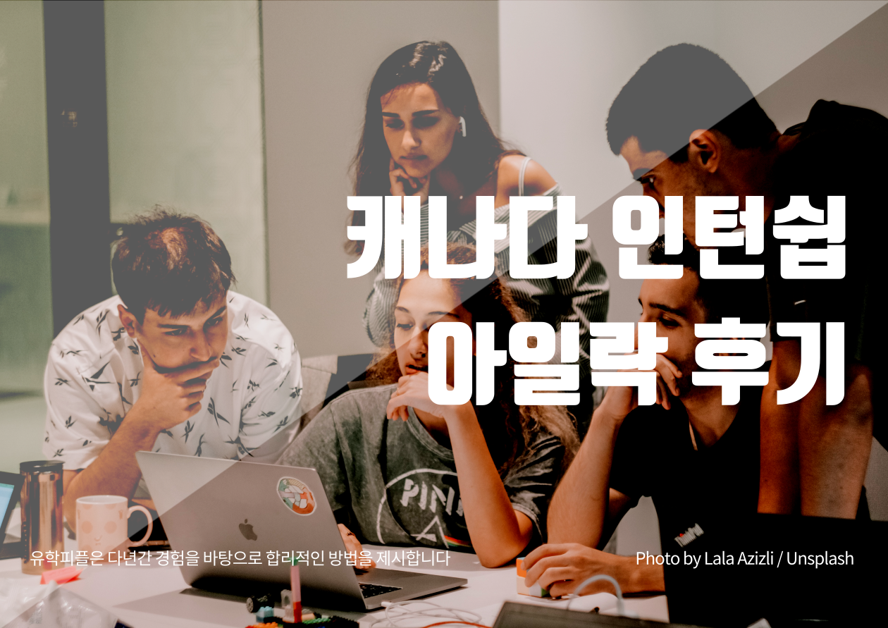 캐나다인턴쉽,아일락코업 후기