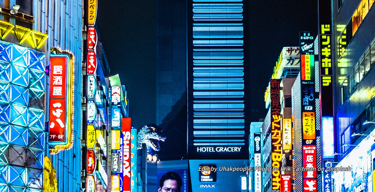 일본유학, 전문학교