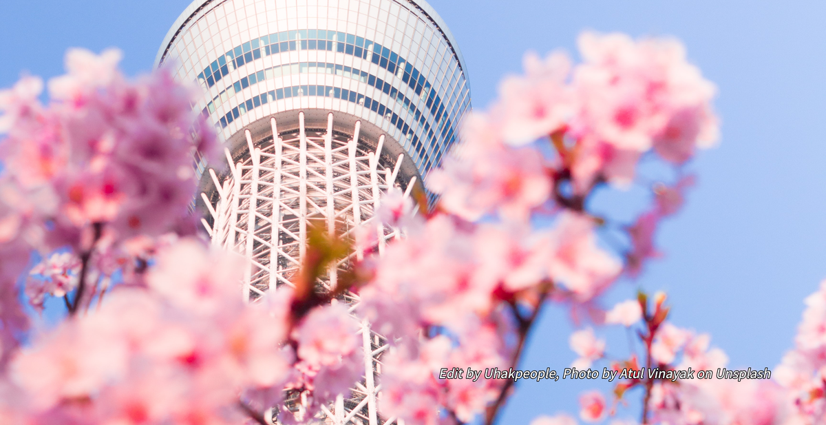 일본유학, G30 영어전형