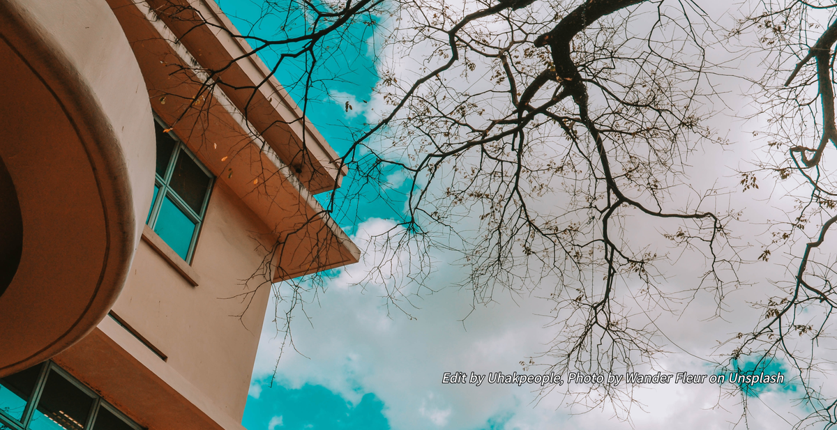 관리형 캐나다 입시 프로그램