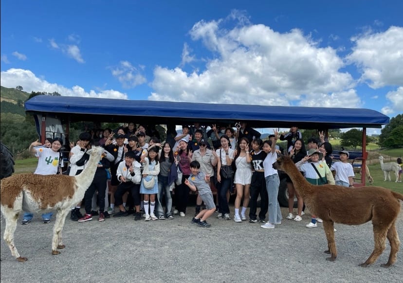 뉴질랜드 오클랜드 레뮤에라 캠프 사진