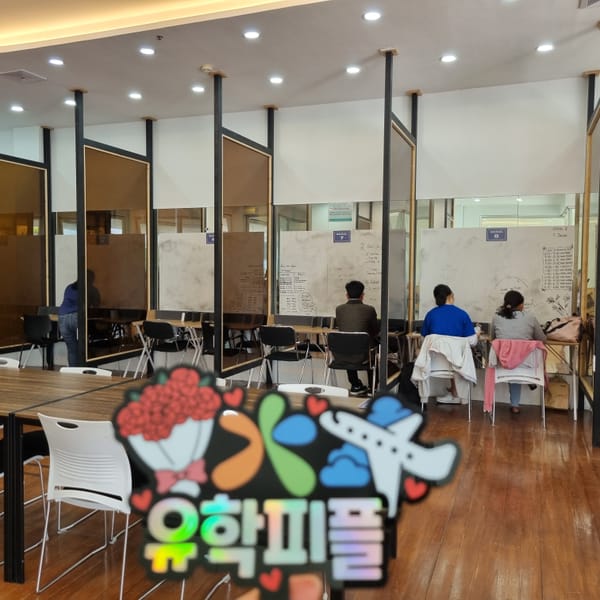 SK어학원 주니어 캠프 사진